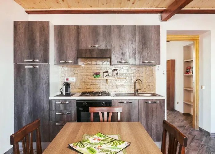 Ruins - Elegant Olbia